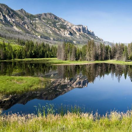 The Yellowstone - New! Prof Renovated, Wapiti Valley, Yellowstone Villa Exterior photo