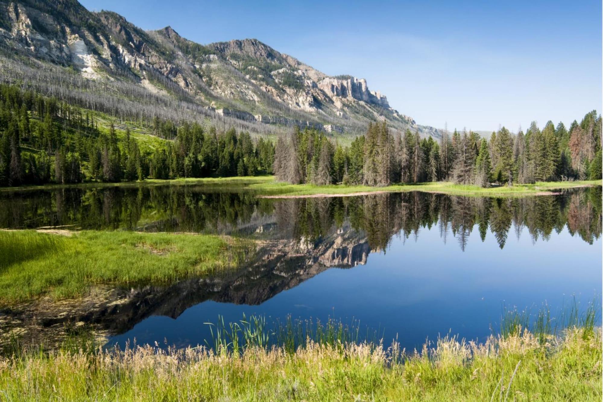 The Yellowstone - New! Prof Renovated, Wapiti Valley, Yellowstone Villa Exterior photo